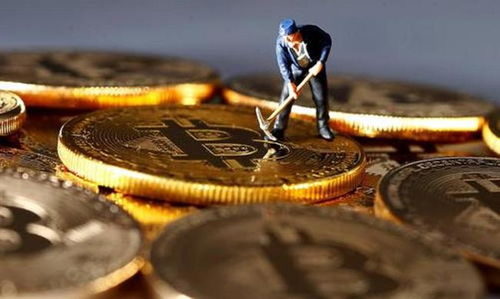 An intricate view of a miner's workstation featuring advanced rigs ready for cryptocurrency extraction
