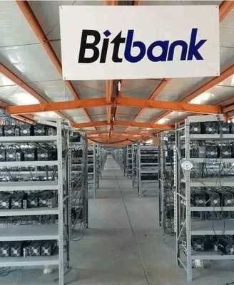A row of Bitcoin mining rigs in a large warehouse, illustrating the scale of modern mining farms.