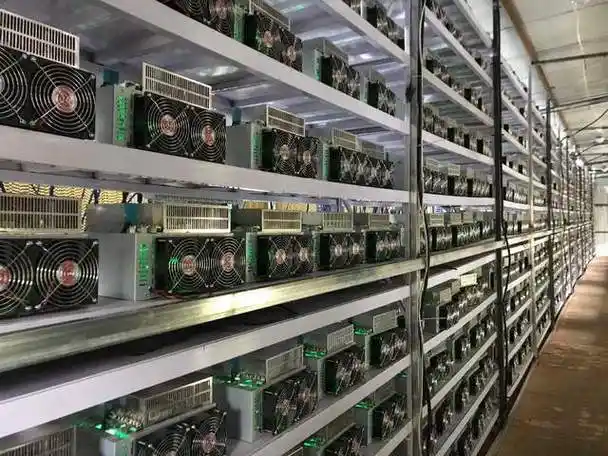 Rows of Bitcoin mining rigs in a Brazilian mining farm