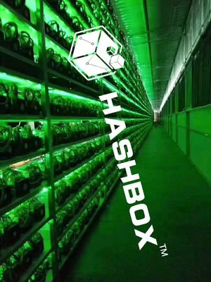 A bustling mining farm in the UK, showcasing the infrastructure that supports efficient cryptocurrency mining